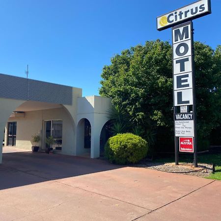 Citrus Motel Griffith Exteriér fotografie