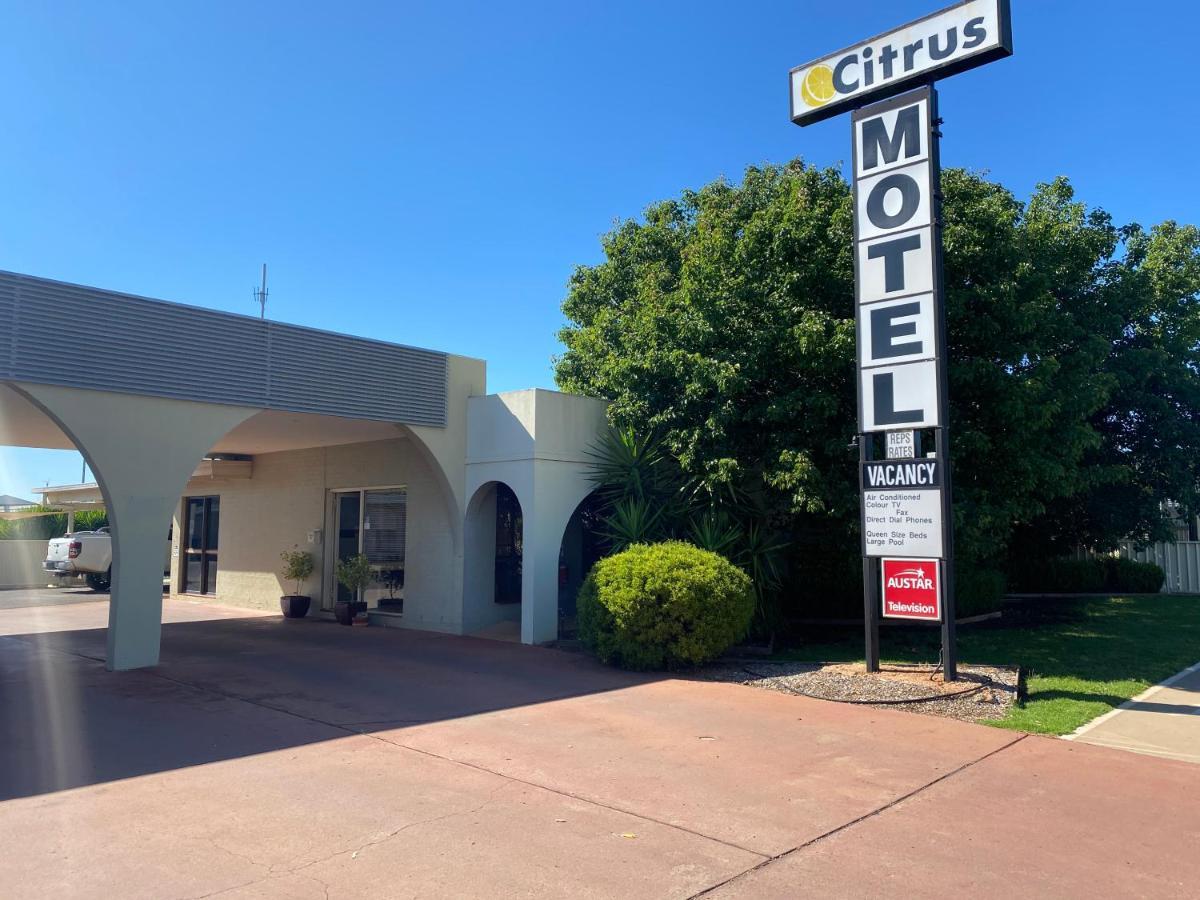 Citrus Motel Griffith Exteriér fotografie
