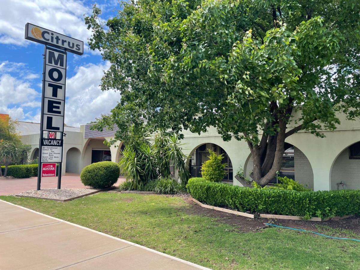 Citrus Motel Griffith Exteriér fotografie